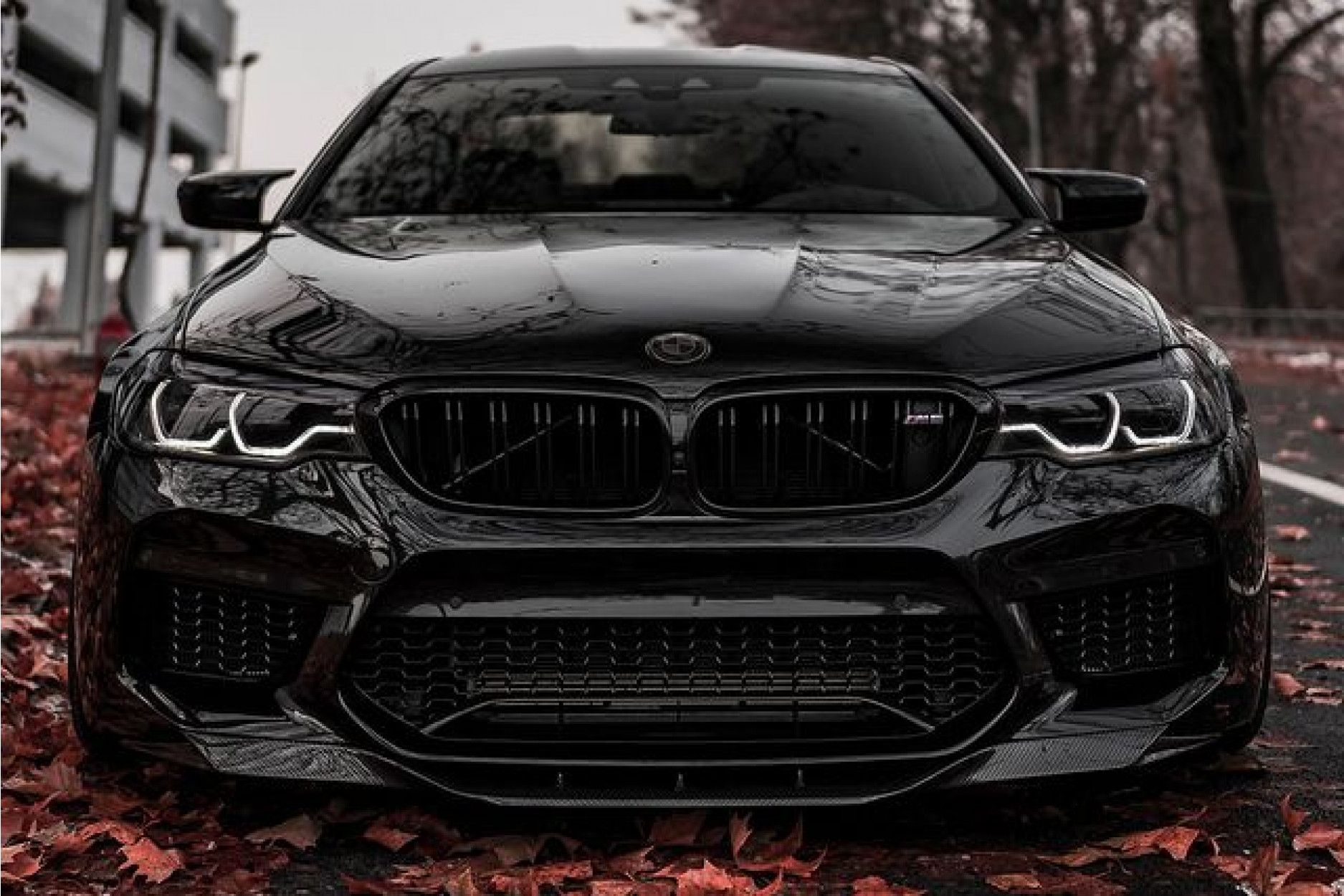 RKP | Carbon Frontlippe | BMW M5 inkl. Competition (F90) S63