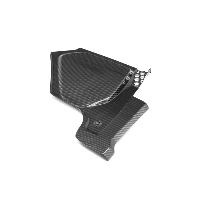 Rainplates Carbon | fits BMW M2/M3/M4 incl. Competition (G80/G81/G82/G83/G87) | Aulitzky Tuning