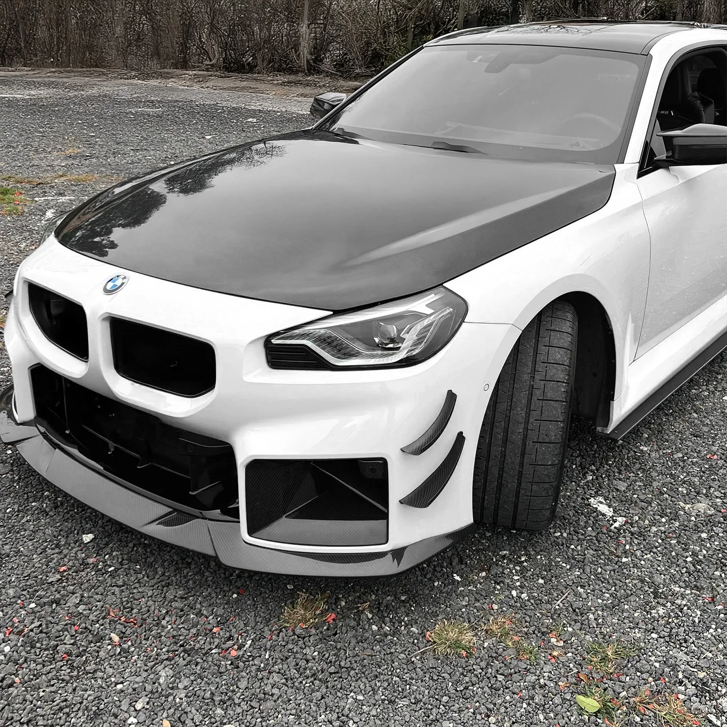 Canards Carbon | passend für BMW M2 (G87) S58 | Aulitzky Tuning