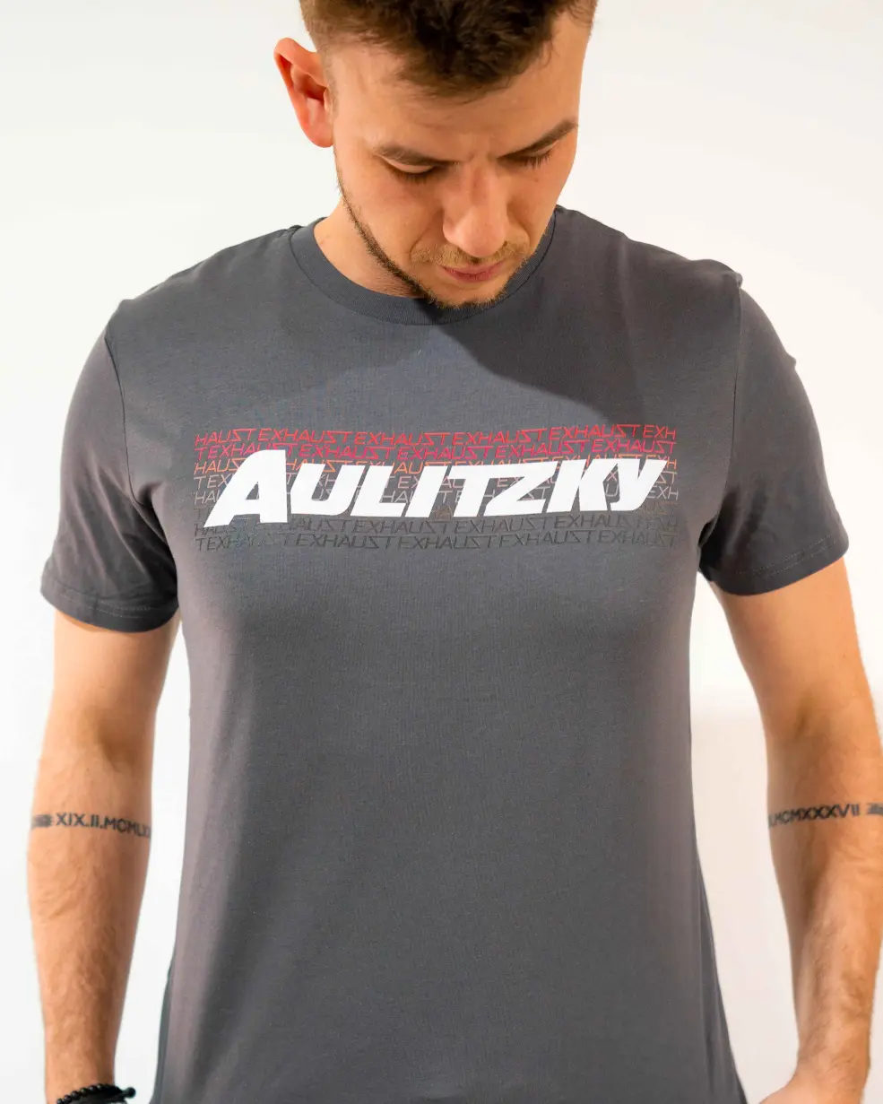 Aulitzky Exhaust | Basic T-Shirt | grau