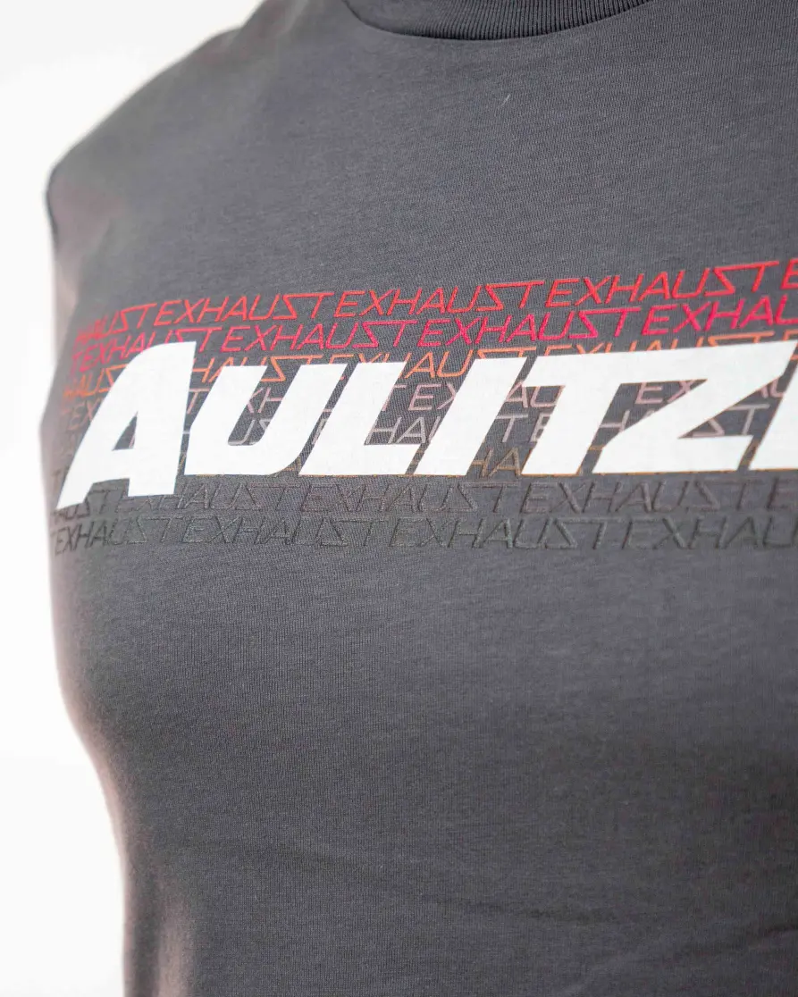 Aulitzky Exhaust | Basic T-Shirt | grau